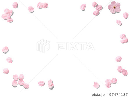 切り抜きで使える、リアルな桜の花いっぱい 97474187