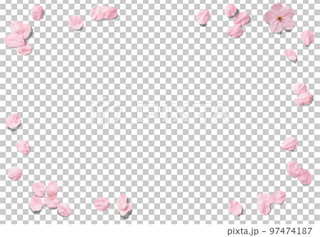 切り抜きで使える、リアルな桜の花いっぱい 97474187