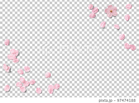 切り抜きで使える、リアルな桜の花いっぱい 97474188