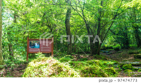 案内版　美しい渓流・渓谷・清流の夏景色「観光名所：菊池渓谷」日本・熊本県菊池市 97474773