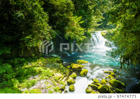 竜ヶ渕・天狗滝　美しい渓流・渓谷・清流の夏景色「観光名所：菊池渓谷」日本・熊本県菊池市 97474775