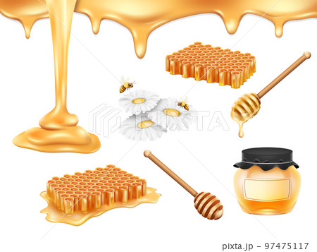 Realistic honey. Bee hive food. Gold comb healthy propolis. Honeycomb nectar dripping. Glass pot. Daisy with honeybee. Natural dessert. Wooden dipper. Vector 3D apiary products set Realistic honey. Bee hive food. Gold comb healthy propolis. Honeycomb nectar dripping. Glass pot. Daisy with honeybee. Natural dessert. Wooden dipper. Vector 3D apiary products set 97475117