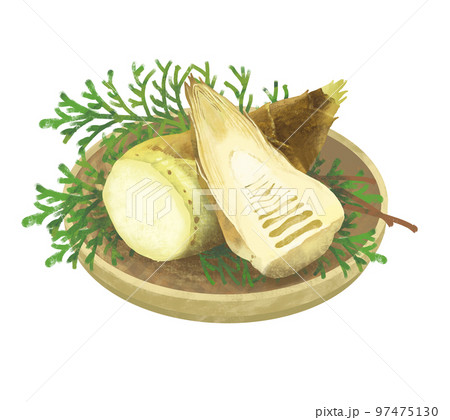 筍のかご盛り　たけのこ　断面 97475130