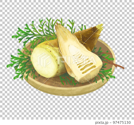 Basket of bamboo shoots cross-section 97475130