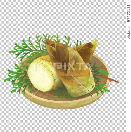 筍のかご盛り　たけのこ 97475131