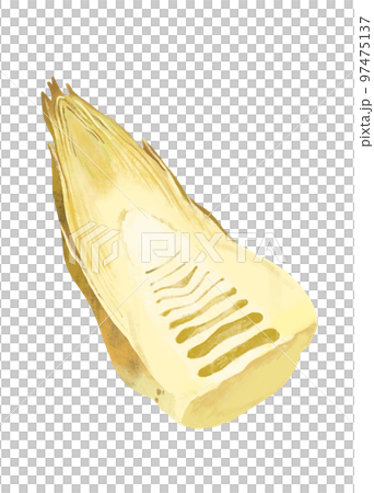 たけのこのイラスト 筍 断面 たけのこのイラスト 筍 断面 97475137