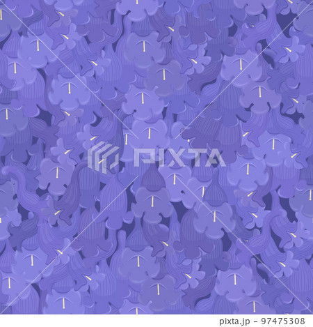 Jacaranda Mimosifolia, lilac flowers seamless pattern background Jacaranda Mimosifolia, lilac flowers seamless pattern background 97475308