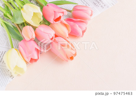 チューリップの花のフレーム 97475463