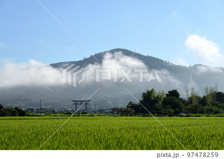 三輪山と水田 97478259