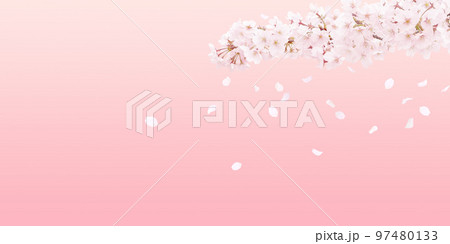 桜 イラスト リアル 背景 桜 イラスト リアル 背景 97480133