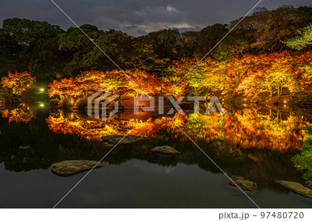 【高松市】栗林公園　秋のライトアップ【紅葉】 97480720