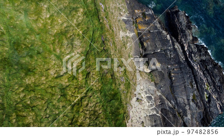 Dense thickets of grass on the shore. Grass-covered rocks on the Atlantic Ocean coast. Nature of Ireland, top view. Aerial photo. Drone point of view. Dense thickets of grass on the shore. Grass-covered rocks on the Atlantic Ocean coast. Nature of Ireland, top view. Aerial photo. Drone point of view. 97482856