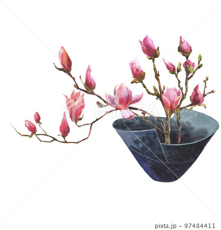 Watercolor illustration of a magnolia branch in a japan dack blue ceramic flowerpot isolated on a white background. Watercolor illustration of a magnolia branch in a japan dack blue ceramic flowerpot isolated on a white background. 97484411