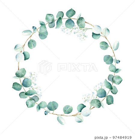 Watercolor eucalyptus and gypsophila round frame, wreath isolated on white background. Hand drawn botanical illustration. Ideal for stationery, wedding invitations, save the date, greeting card, logos 97484919