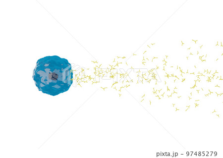 抗体を産生する形質細胞のイメージ 97485279