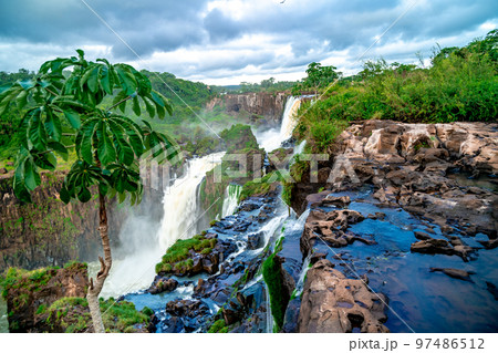 nature, river and plants around Iguazu Falls 97486512