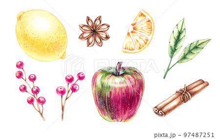 Watercolor set of spices for mulled wine Watercolor set of spices for mulled wine 97487251