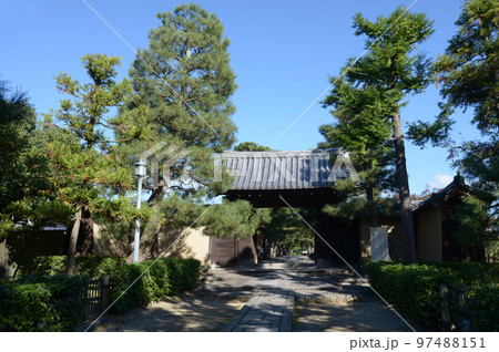 秋の大徳寺　参道と山門　京都市北区紫野 97488151