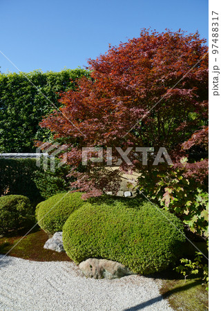秋の大徳寺　興臨院庭園　京都市北区紫野 97488317