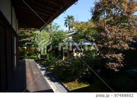 秋の大徳寺　興臨院庭園　京都市北区紫野 97488602