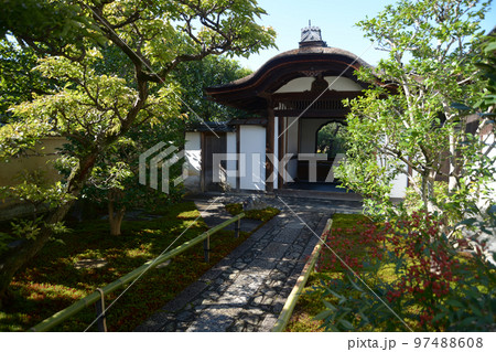 秋の大徳寺　興臨院唐門　京都市北区紫野 97488608