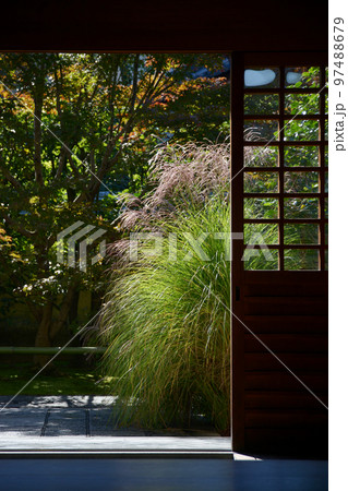 秋の大徳寺　興臨院玄関のススキ　京都市北区紫野 97488679