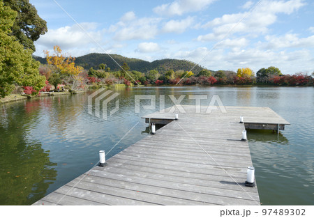 秋の大覚寺 紅葉の大沢池 京都市右京区嵯峨 秋の大覚寺 紅葉の大沢池 京都市右京区嵯峨 97489302