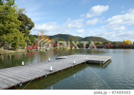 秋の大覚寺 紅葉の大沢池 京都市右京区嵯峨 秋の大覚寺 紅葉の大沢池 京都市右京区嵯峨 97489303