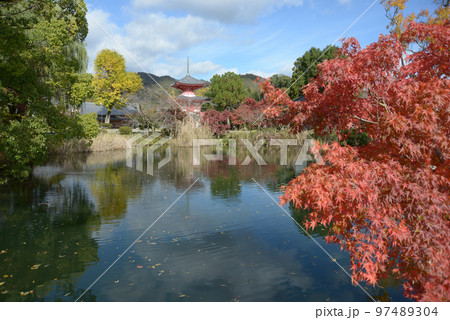 秋の大覚寺 紅葉の大沢池 京都市右京区嵯峨 秋の大覚寺 紅葉の大沢池 京都市右京区嵯峨 97489304