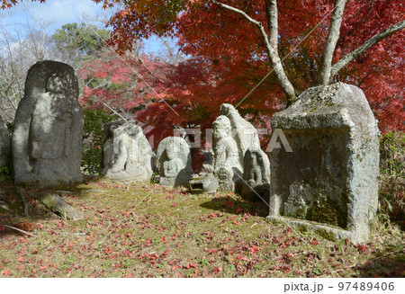 秋の大覚寺　紅葉の大沢池の石仏　京都市右京区嵯峨 97489406