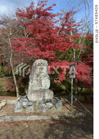 覚寺　紅葉の大沢池の石碑　京都市右京区嵯峨 97489409