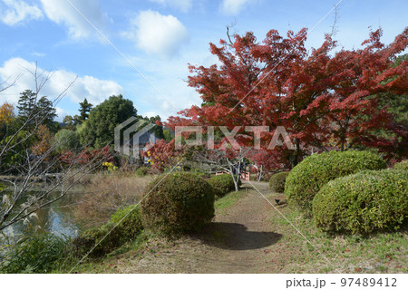 覚寺 紅葉の大沢池 京都市右京区嵯峨 覚寺 紅葉の大沢池 京都市右京区嵯峨 97489412