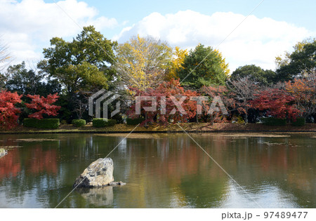 秋の大覚寺　紅葉の大沢池　京都市右京区嵯峨 97489477