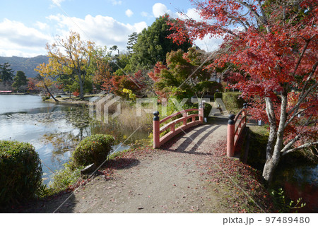 秋の大覚寺　紅葉の大沢池　京都市右京区嵯峨 97489480