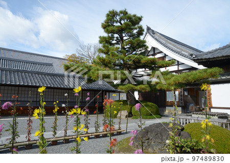 秋の大覚寺 境内 京都市右京区嵯峨 秋の大覚寺 境内 京都市右京区嵯峨 97489830