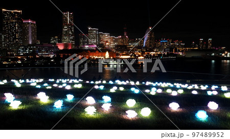 横浜大桟橋 光のローズガーデンから赤レンガ倉庫クリスマスマーケット ヨルノヨ ライトアップ 12月 横浜大桟橋 光のローズガーデンから赤レンガ倉庫クリスマスマーケット ヨルノヨ ライトアップ 12月 97489952
