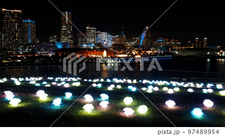 横浜大桟橋　光のローズガーデンから赤レンガ倉庫クリスマスマーケット　ヨルノヨ　ライトアップ　12月 97489954