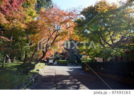 鷺森神社 紅葉の参道 京都市左京区修学院 鷺森神社 紅葉の参道 京都市左京区修学院 97493163