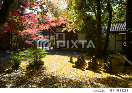 赤山禅院 紅葉の境内 京都市左京区 赤山禅院 紅葉の境内 京都市左京区 97493323
