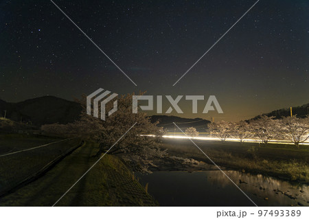 春の星景色　川沿いの桜並木車の光跡と星空 97493389