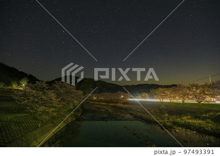 春の星景色 川沿いの桜並木車の光跡と星空 春の星景色 川沿いの桜並木車の光跡と星空 97493391