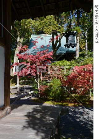 赤山禅院 境内の紅葉 京都市左京区 赤山禅院 境内の紅葉 京都市左京区 97493400
