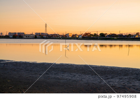 伊佐沼の風景　秋　夕景　埼玉県川越市 97495908