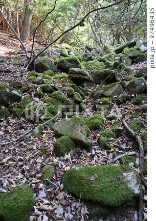 播磨 城山城 登山道と曲輪 播磨 城山城 登山道と曲輪 97496435