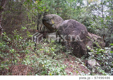 播磨 城山城 登山道と曲輪 亀石 播磨 城山城 登山道と曲輪 亀石 97496486