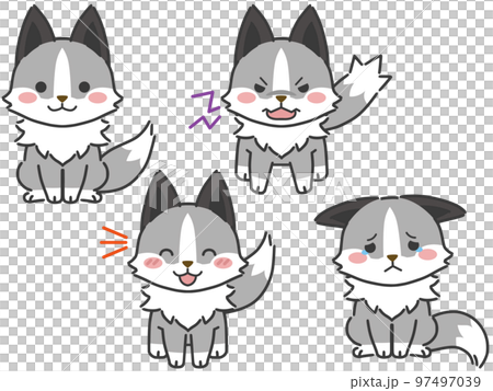 Emotions and sorrows of the platinum fox Emotions and sorrows of the platinum fox 97497039