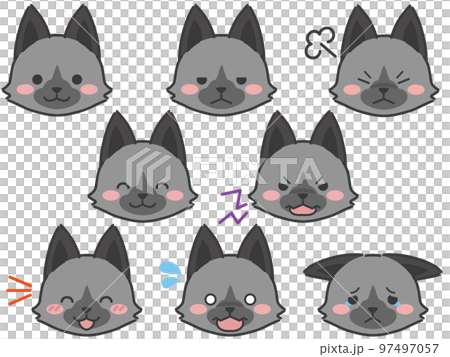 Silver fox expression face icon 97497057