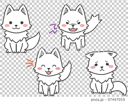 Emotions of arctic fox 97497059