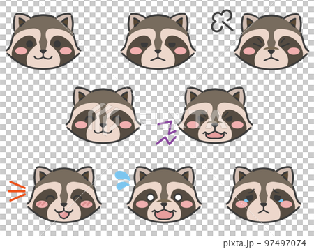 Raccoon expression face icon 97497074