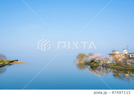 《滋賀県》春の琵琶湖風景　米原市天野川河口の満開の桜　世継橋より 97497115